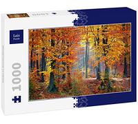 Lais Puzzle Paesaggio forestale in Autunno 1000 Pezzi