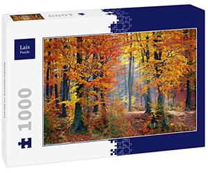 Lais Puzzle Paesaggio forestale in Autunno 1000 Pezzi