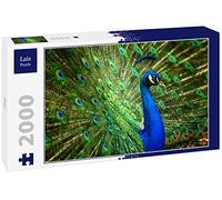 Lais Puzzle Pavone 2000 pezzi
