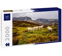 Lais Puzzle Pecore sull'isola di Skye, Scozia, Gran Bretagna, Europa 2000 pezzi
