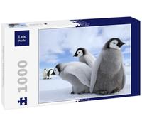 Lais Puzzle Pinguini/Pinguini imperatore 1000 pezzi