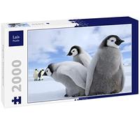 Lais Puzzle Pinguini/Pinguini imperatore 2000 Pezzi