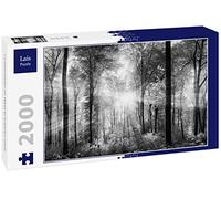 Lais Puzzle Raggi di luce nella foresta in bianco e nero 2000 pezzi
