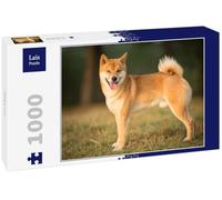 Lais Puzzle Shiba Inu 1000 pezzi