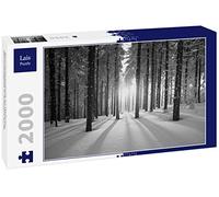 Lais Puzzle Tramonto nella Foresta in Inverno in Bianco e Nero 2000 Pezzi