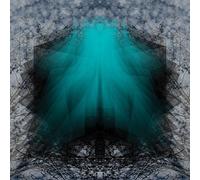 Lake Of Violet - Startling Testimony Of Plumb Lines