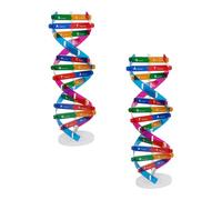 LALADEFIEE 2 pezzi Doppia Spirale Dna Giocattolo Educativo Scientifico per Apprendimento Geni Umani Strumento Didattico Interattivo per Scuola e Studio Biologia 2pcs Grande