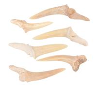 LALADEFIEE 6 pezzi Collane con Ciondolo Dente Squalo Fossile Semi Completo Catena Leggera e Resistente Gioielli Tribali per Ragazzi