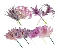 LALADEFIEE 9 Piante Succulente Artificiali 9pezzi in Pvc e Pe Facili da Pulire e Curare per Decorazione Casa e Ufficio Stile Misto Realistico e Chic Stili multipli