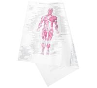LALADEFIEE Poster di Anatomia Dell'apparato Scheletrico e Muscolare Bianco 40x60cm per Decorazione e Insegnamento per Festa di Compleanno
