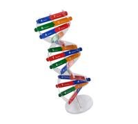 LALADEFIEE Struttura a Doppia Spirale del DNA da Assemblare Strumento Educativo Scientifico per Ragazzi e Ragazze Kit Molecolare Didattico per Scienze e Biologia Gioco di Colore Casuale