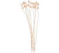 LALAFINA 10 Pezzi Bastoncini di Rattan per Diffusore di Aromaterapia, Assorbenti Olio, per Ambienti Domestici, Design Semplice e Raffinato per Spazi Abitativi