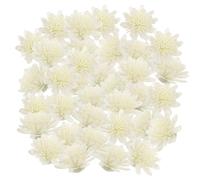 LALAFINA 100 Pezzi Fiori Diffusori di Crisantemo in PE Color Bianco, Accessori per Aromaterapia Bastoncini, per Diffusori di Oli Essenziali in Casa e Auto, Rilascio Aroma Profumato