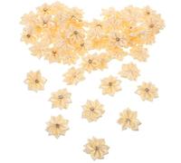 LALAFINA 50 Pezzi Toppe Applicate a Forma di Fiore Beige in Poliestere con Pietre Decorative, Eleganti e Resistenti per Riparazioni e Decorazioni Fai da Te su Cappelli e Zaini