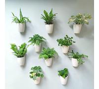 LáLáGreen - Fioriere da parete per piante da interno, confezione da 10, vaso in plastica autoirrigante da 12,7 cm, sistema di fioriere da parete, alla moda, per erbe aromatiche, bianco