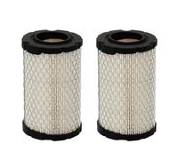 LALAL Filtro dell'aria for Briggs&Stratton 796031 594201 797404 591334 5428 e for tosaerba John Deere Gy21435.(2PCS)