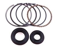 LALAL Kit di guarnizioni for albero motore, fasce elastiche e pistoni da 39 mm for tosaerba a 4 tempi Honda GX35, ricambio for motore.