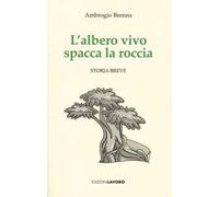 L'albero vivo spacca la roccia