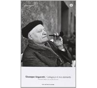 L' allegria è il mio elemento. Trecento lettere con Leone Piccioni