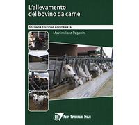 L' allevamento del bovino da carne