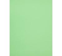 Lama 70x100 (25) Canson Colorline Liscia/Sottile 220g Verde Biliardo