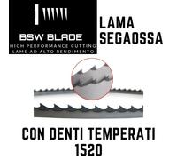Lama a nastro inox segaossi 1520x20