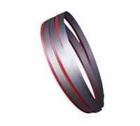 Lama per Sega a Nastro Bi-Metallo M42 13mm, 8-12 TPI, Taglio Legno Duro e Metallo, Lama Affilata(1300mm)