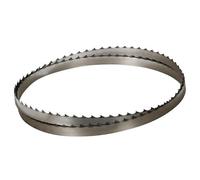 Lama per sega a nastro Record Power BS250 Premium 10, 3/8" x 14 TPI, adatta anche ad Axminster Hobby HBS250N, Clarke CBS355, Fox F28-186A, HOLZKRAFT HBS 251, Draper 25766, Nutool HBS14, SIP 01402 Made