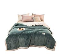 Lamb Fleece Blanket Quilt Winter Thick Warmth Coral Fleece Blanket Cover Blanket Single Double Thick Winter Blanket (Color : A Size : 200 * 230cm) (A 150 * 200cm)