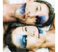 Lamb The Secret of Letting Go (Vinyl LP) 12" Album