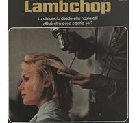 Lambchop - La Distancia Desde Ella ....