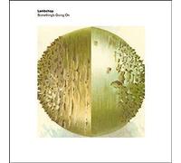 Lambchop - Somethings Going on