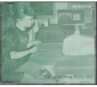 Lambchop - Your Sucking Funny Day
