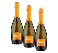 Lamberti Turà Spumante Bianco Extra Dry - 750 ml (Confezione da 3)