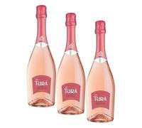 Lamberti Turà Spumante Rosé Extra Dry - 750 ml (Confezione da 3)