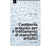 L'ambiente acquoso per il trattamento di manufatti artistici