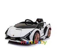 LAMBORGHINI SIAN: auto elettrica con radiocomando / macchina telecomandata 12V