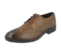 Lambretta Smart Brogues M-82 Scarpe Eleganti Da Uomo In Pelle Con Lacci Marroni