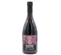 Lambrusco Ancestrale Rosso - L’autentica Espressione Della Tradizione Emiliana - Bottiglia Da 750ml