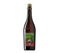 Lambrusco di Sorbara 'Sant'Agata' Paltrinieri 2025