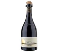 Lambrusco Grasparossa di Castelvetro DOC “Vigneto Cialdini” - Cleto Chiarli, 750 ml