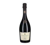 Lambrusco Reggiano 'Concerto' Ermete Medici 2025
