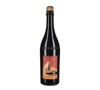 Lambrusco 'Solco' Paltrinieri 2025