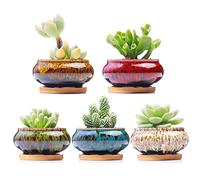LAMDAWN Set di 5 graziosi vasi da giardino in ceramica per piante grasse, con drenaggio e sottovaso, piante non incluse (bruciatore)