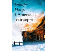 L'America sottosopra