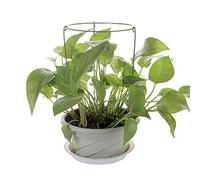 LAMF 3 gabbie di supporto per piante da giardino, anelli di supporto per piante in vaso, resistenti, per crescere attraverso fiori e piante, supporti rotondi per piante
