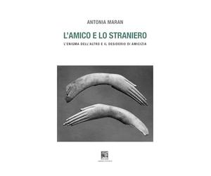 L'amico e lo straniero. Sull'enigma dell'altro e il desiderio di amicizia. Ediz. illustrata