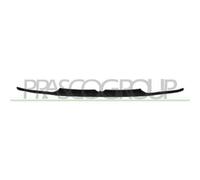 PRASCO VG0323222 Mostrina, Griglia radiatore