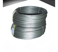 Lamina, foglio, piastra, filo e barra di cobalto - Co99,999% for la ricerca scientifica e le applicazioni industriali(Cobalt filament 0.3mmx1000mm)