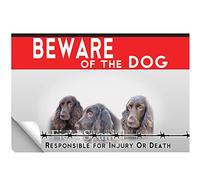 Laminato adesivo Beware of the dog Field Spaniel